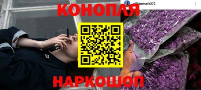прущая мука Пугачёв