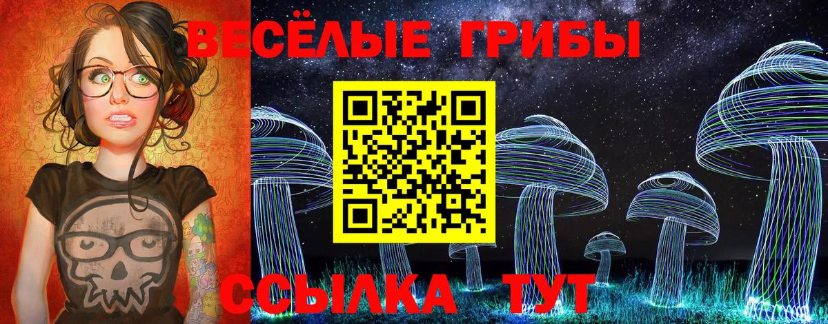 Галлюциногенные грибы Psilocybine cubensis  купить закладку  Вход с VPN  Похвистнево  Галлюциногенные грибы Psilocybine cubensis 